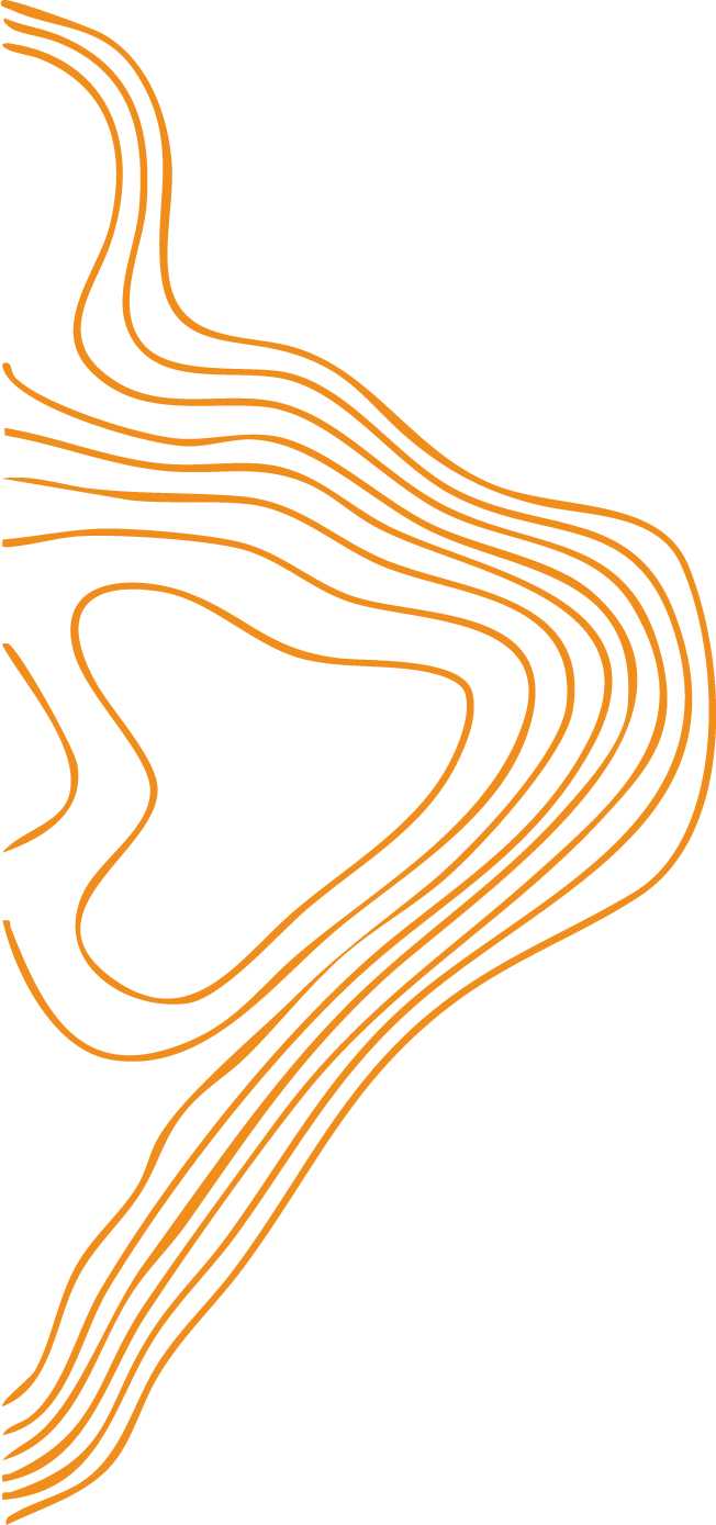 Eiermann_Linien1_orange_v